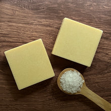 Load image into Gallery viewer, Sea Salt & Citrus Soap