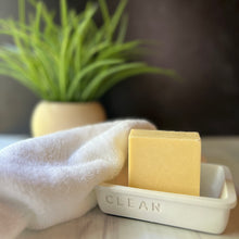 Load image into Gallery viewer, Sea Salt & Citrus Soap