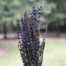 Load image into Gallery viewer, lavender soap